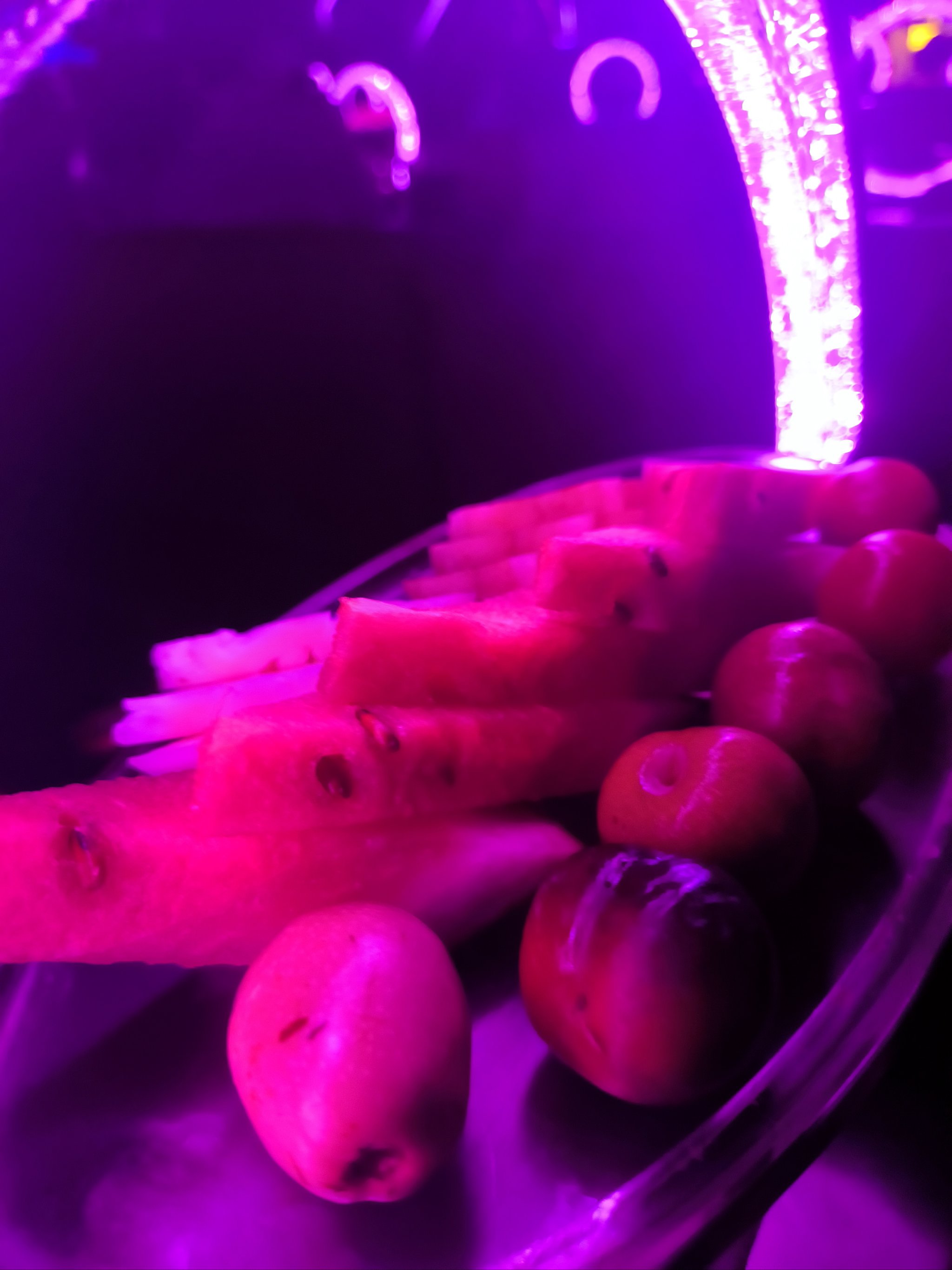 锦州商务ktv单人商务ktv绝佳选择-太和区ktv预定